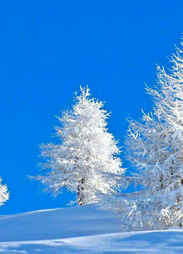 望海高歌一曲傷感情歌《冰雪戀情》好聽至極-音樂-背景音樂視頻音樂