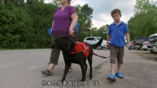 在锡姆科湖的西海岸，生活着一直有爱的自闭症服务犬