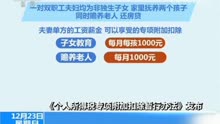 [图]《个人所得税专项附加扣除暂行办法》发布 减轻工薪阶层负担