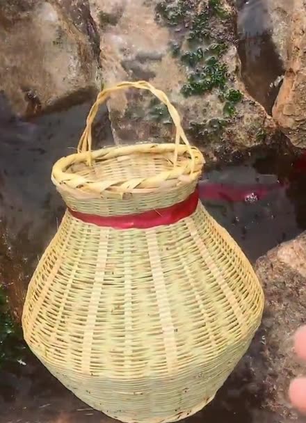 鱼篓抓海参