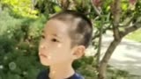 爸爸去哪儿里面的话唠软萌小嗯哼剪头发啦，还是寸头噢！