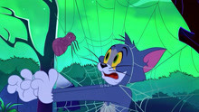 猫和老鼠：汤姆猫变异成蜘蛛精了。