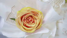 花材分享｜花艺培训｜每天认识一种玫瑰花—迪威娜