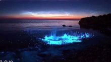涠洲岛的荧光海滩