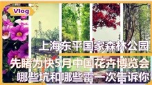 上海崇明东平国家森林公园 | 先睹为快中国花卉博览会 | 避哪些雷