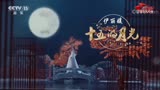 央视元宵特别节目歌唱家伊丽媛《十五的月光》MV首发，太好听啦～