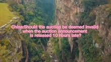 China：Should the auction be deemed invalid when the