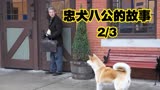  温情催泪片《忠犬八公的故事》狗生十年，只为等一未归人