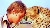 跨越种族的友情！豹豹和人类幼崽的治愈暖心电影《杜玛》(中)