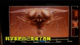 科学家用自己的身体做实验，把自己变成了苍蝇，科幻片《变蝇人》