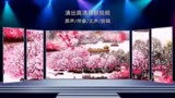 第8集 | 989 凉凉 情歌对唱配乐歌曲背景视频素材 #三生三世十里桃花  #情歌背景    +小助手
