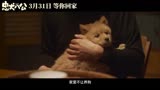 中国版《忠犬八公》首支预告，定档3月31日