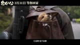 电影《忠犬八公》定档3月31日 一只小狗感动全球数亿人~