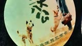电影《忠犬八公》首映之重庆演员见面会