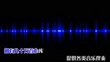 奇幻夜 纯伴奏 李成宇-中国新声代