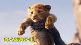 小狮子为给父亲报仇，长大后单挑狮群之王《狮子王》（上）