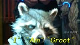 I am Groot！#银河护卫队 #我是格鲁特 #可爱