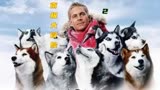 八只雪橇犬在南极大冒险绝地求生#影视解说 #人性电影