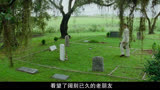阿甘正传