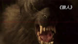 全集丨《狼人》鬼作秀系列，每集一个恐怖故事，值得一看