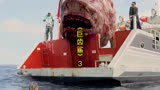 #巨齿鲨#精彩片段#影视解说#我的观影报告