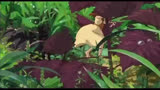 借东西的小人阿莉埃蒂BGM：星茶会纯钢琴版很喜欢这部动漫电影，到处都充满了大自然的色彩，很治愈#治愈动漫#动画短片#宫崎骏#借东西的小