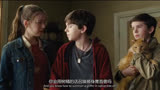 这只橘猫的脸型好像一只狮子