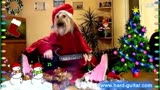 New Year Funny We Wish You a Merry Christmas - Dog
