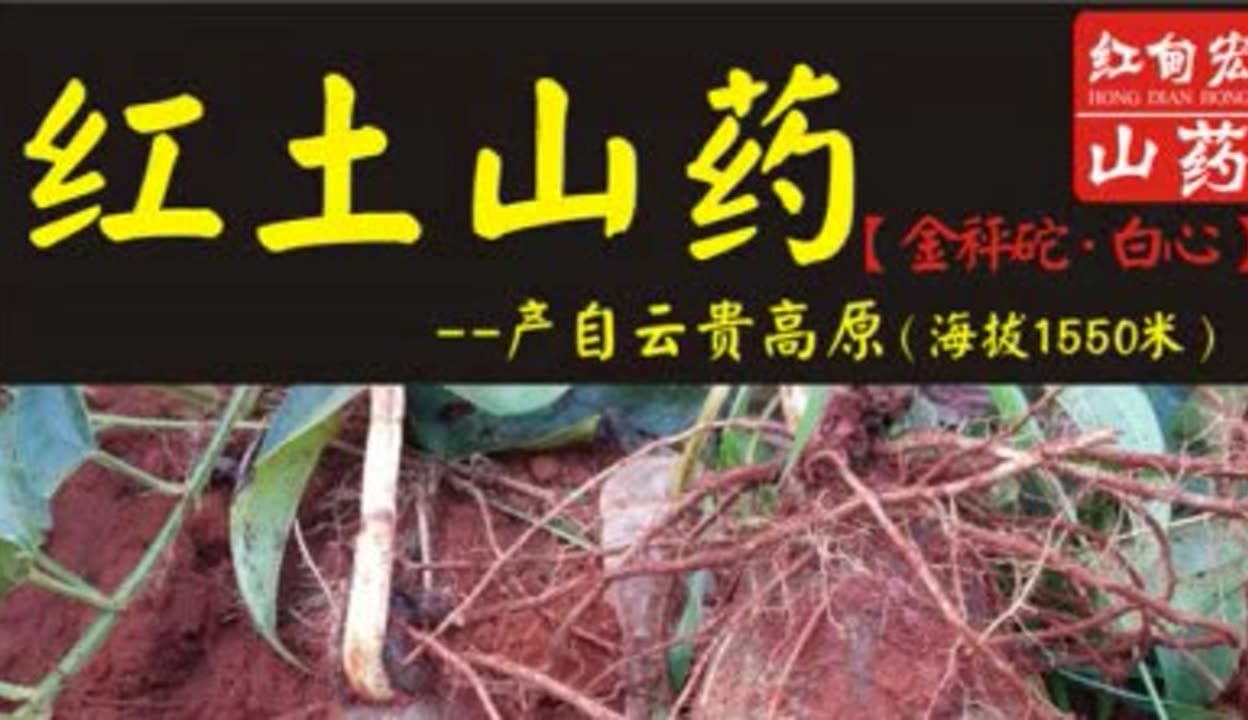 秤砣山药怎样种植图片图片