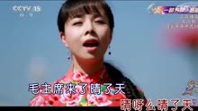 王二妮-山丹丹开花红艳艳MTV