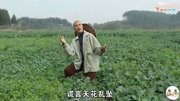 拥抱你离去抖音