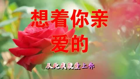 好歌推薦《 想著你親愛的》歌詞走心,宛如天籟,美極了