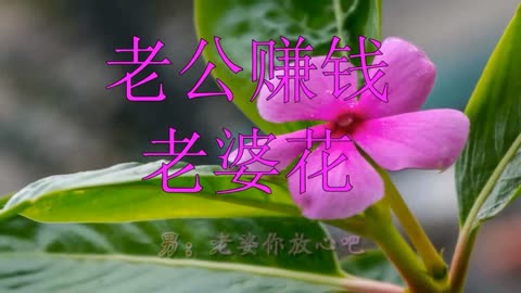 [音樂] 百聽不膩!一首《老公賺錢老婆花》歌詞走心,令人心醉,很深情