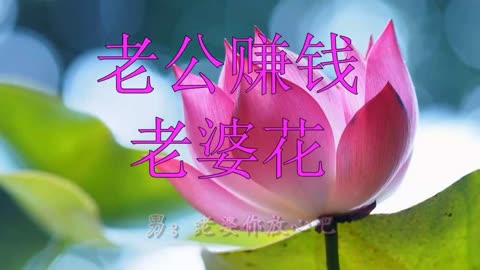 經典推薦!一首《老公賺錢老婆花》歌詞走心,令人心醉,陶醉(1