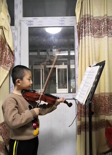 颂祖国小提琴演奏图片