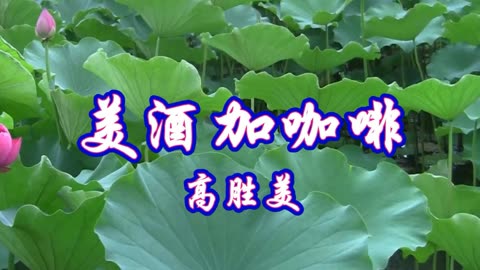 高勝美一首甜歌《美酒加咖啡》好聽醉人