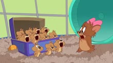 一只仓鼠变成一万只仓鼠 猫和老鼠搞笑卡通动画