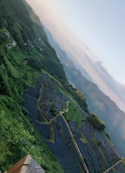 思南县张家寨茶山简介图片