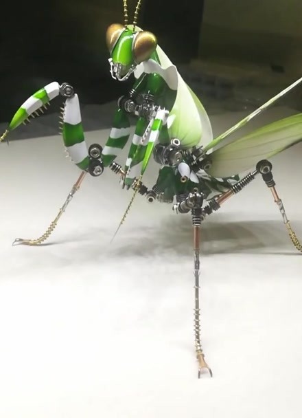 机械昆虫大对决螳螂图片