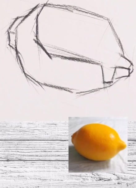 柠檬结构素描图片