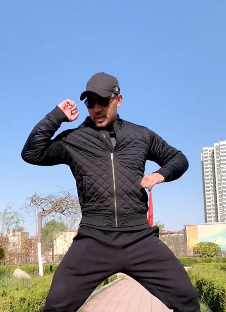 八极拳顶心肘教学