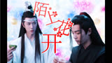 【剧版忘羡】陌上花开11