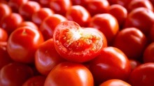 普罗旺斯西红柿为什么这么贵？