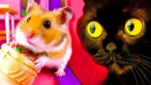 爱玩的仓鼠：小仓鼠VS大黑猫，小仓鼠的大逃亡！