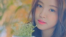 韩国女团Apink Special Album日韩歌曲美女mv