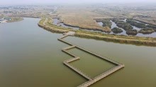航拍黄河三角洲湿地，已规划成黄河口国家公园