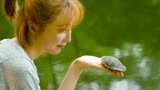 一只乌龟🐢造就了一段跨世纪奇缘，美好的爱情总在不经意间发生，《月老神龟》