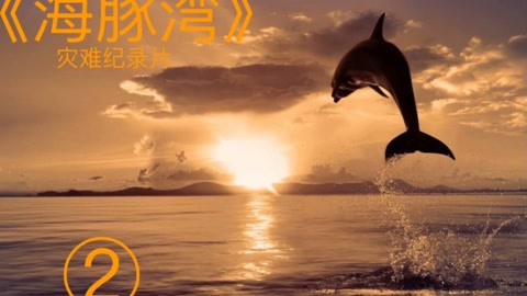 海豚湾纪录片完整版图片