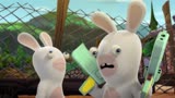 疯狂的兔子：鸡当障碍物，这兔子怕不是以为另一只兔子眼瞎