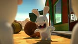 疯狂的兔子：兔子不仅是兔子，而是摇钱树，就冲兔子天不怕地不怕